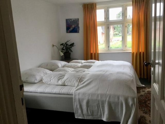 My Home Spodsbjerg Exteriör bild