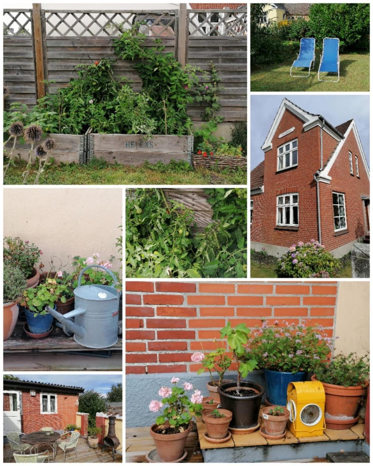 My Home Spodsbjerg Exteriör bild