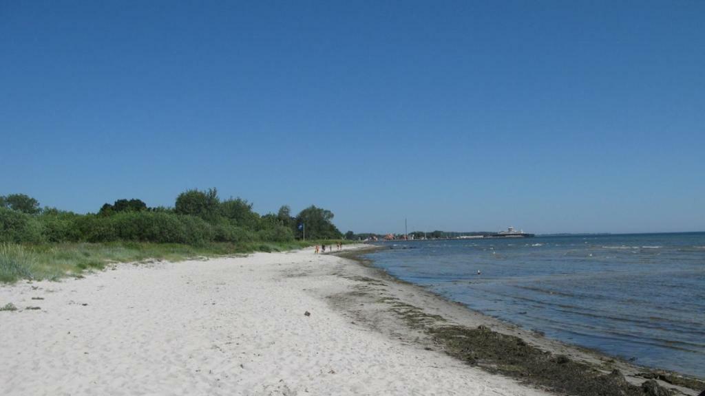 My Home Spodsbjerg Exteriör bild